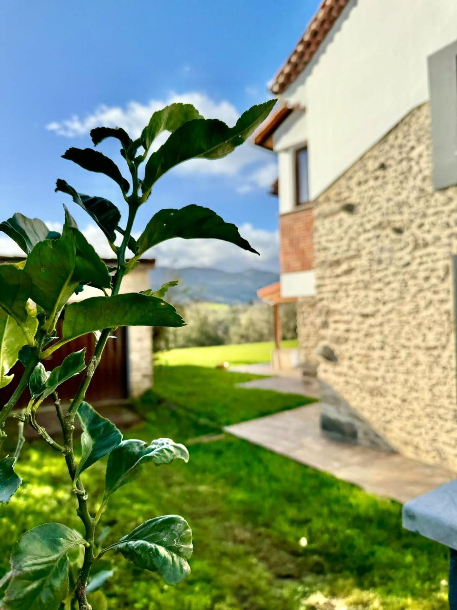 Terradeva Apartamentos Colombres Ngoại thất bức ảnh